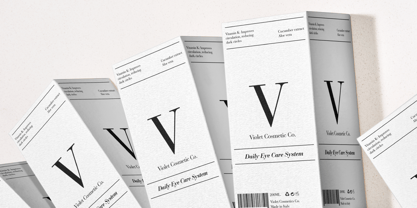 Bauer Bodoni Font Poster 7